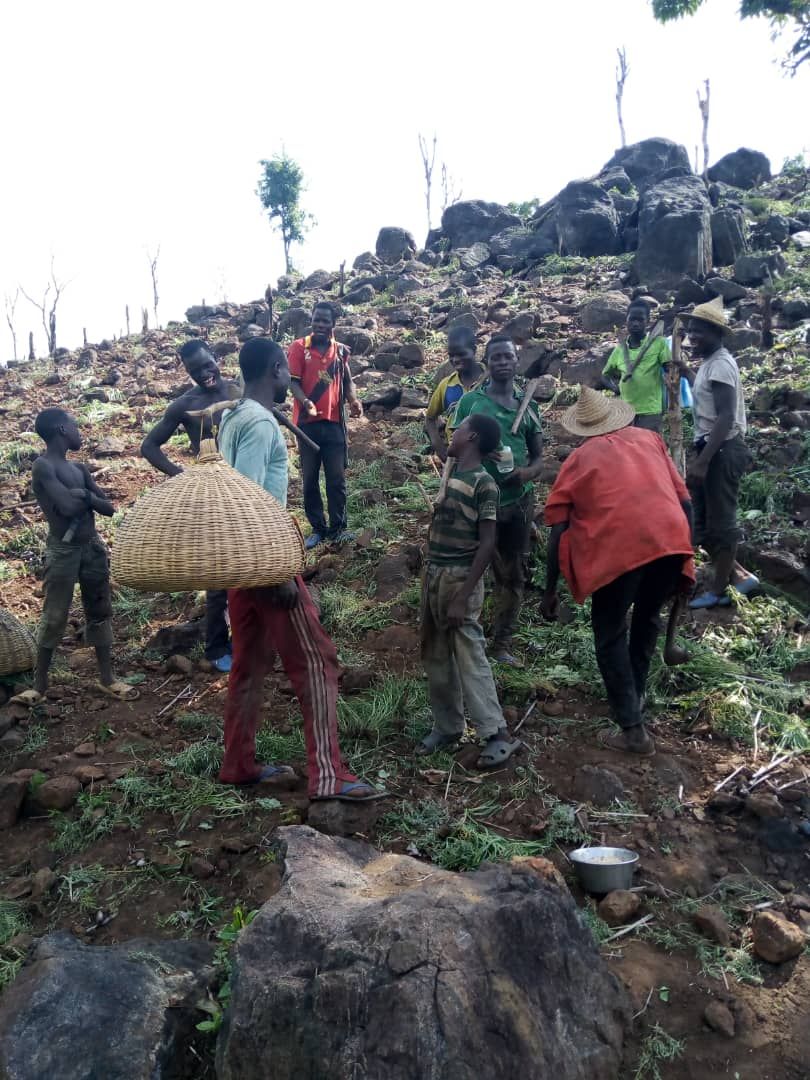 
          Les agriculteurs d’Afrique 