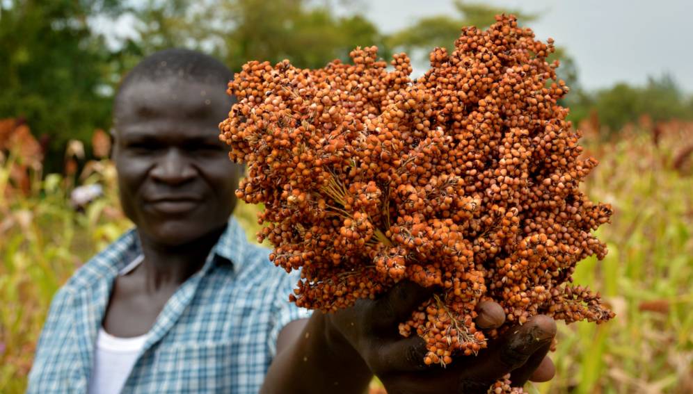
          Agriculture numérique 