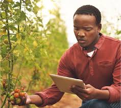 
          La numérisation de l'agriculture 