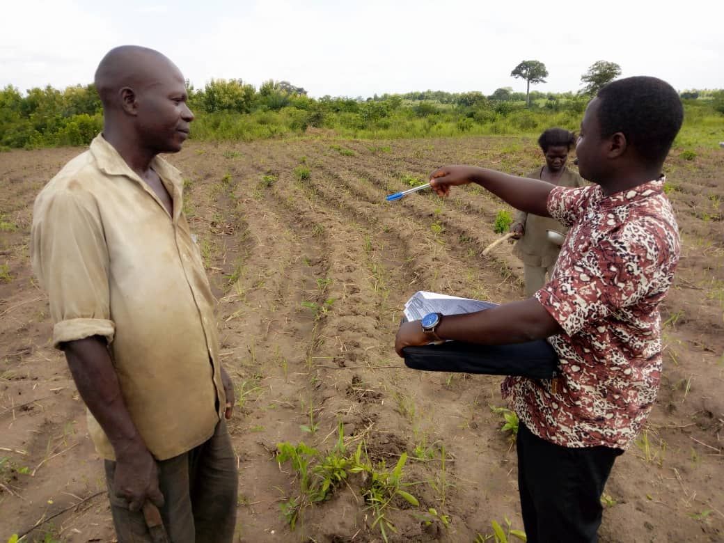 
          Conseil agricole et vulgarisation agricole 