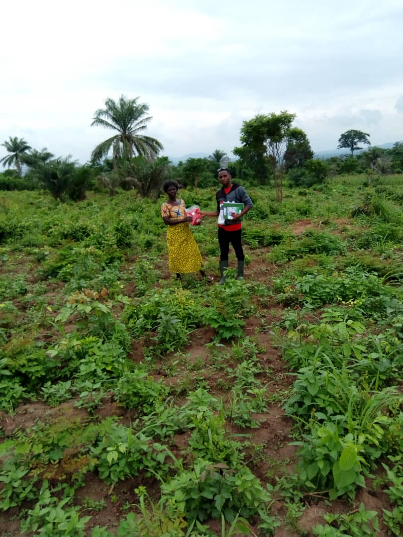 
          Agriculture en Afrique