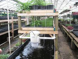 
          Save Our Agriculture: l’aquaponie et l’agriculture péri-urbaine 