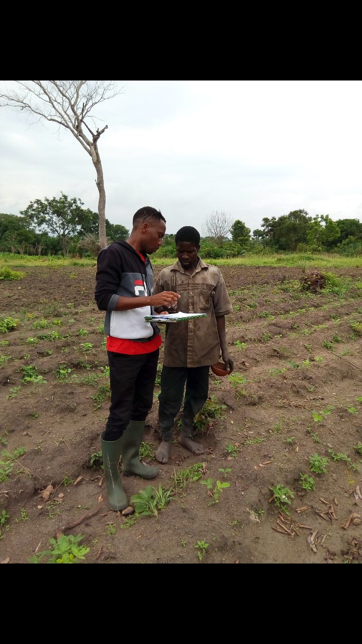 
          Projet agricole 