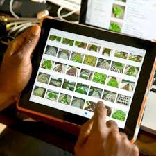 
          Agriculture et TIC 