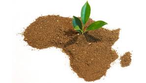 
          En Afrique, la transformation structurelle doit passer par la croissance agricole