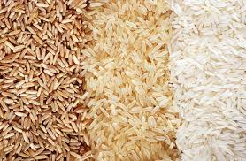
          Des variétés de riz hybrides à haut rendement et à grain d'excellente qualité, mis au point par AfricaRice.