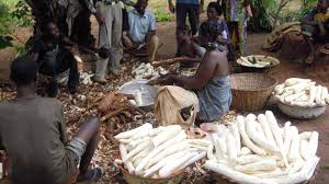 
           La problématique de la détérioration du manioc après la récolte.
