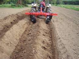 
           Comme beaucoup d’autres culture, le travail du sol est indispensable pour l’arachide.     
