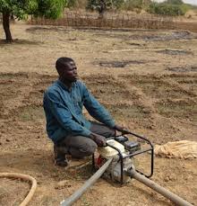 
           L'irrigation permet toujours une augmentation sensible de la production de gousses d’arachide.