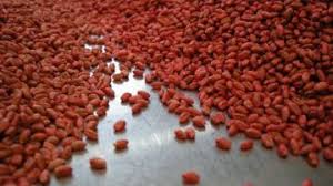 
           Traitement des semences d’arachide: Enrobage à sec des graines de semences.