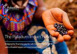 
          Investissement: La société de conseil et de gestion Palladium veut lancer un fonds d’investissement dédié à l’agroalimentaire.