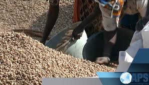 
           De la collecte d’arachide au produit conditionné pour l'exportation.