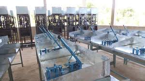 
          Noix de cajou en Côte d’Ivoire: Une usine de transformation de noix de cajou bientôt implantée à Dabakala.
