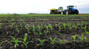 
          La mécanisation de l’agriculture stimule le développement durable de l’Afrique.