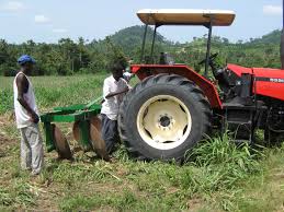 
          Le sorgho: La pratique de la traction motorisée pour la préparation du sol en vu du semis.