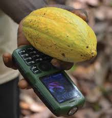 
          La technologie numérique est une condition préalable à la progression de l’agriculture en  Afrique. 