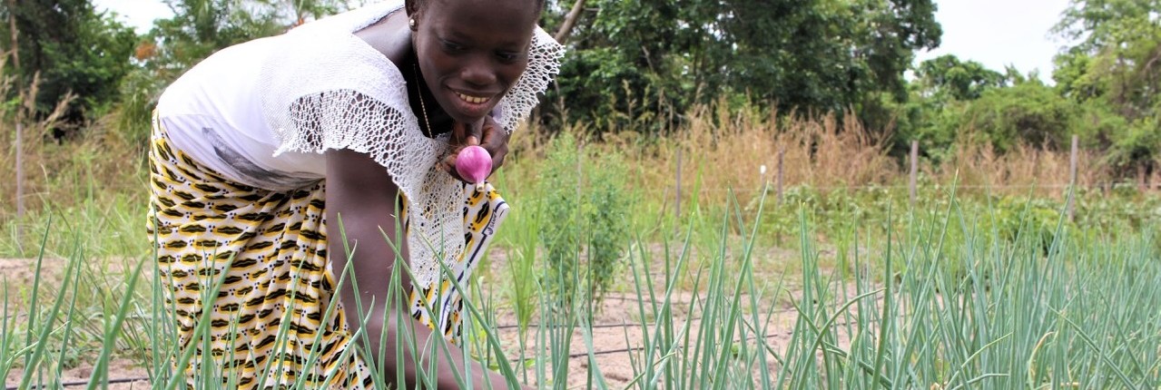 
          Formation agricole: Création du Collège de l’agriculture dans l’Etat d’Edo au Nigeria