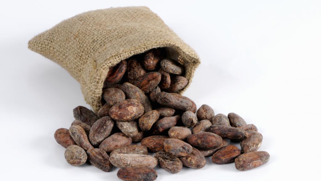 
          La Chronique Matières Premières Agricoles: Le cacao au 26 septembre 2019