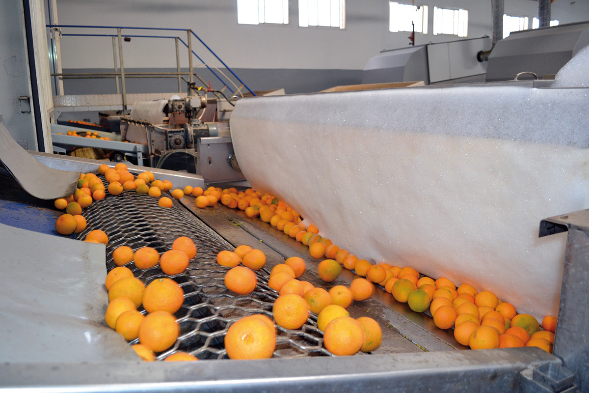 
          Financement pour l’agro-industrie au Burkina Faso: Le projet de résilience et de compétitivité agricole (PReCA)