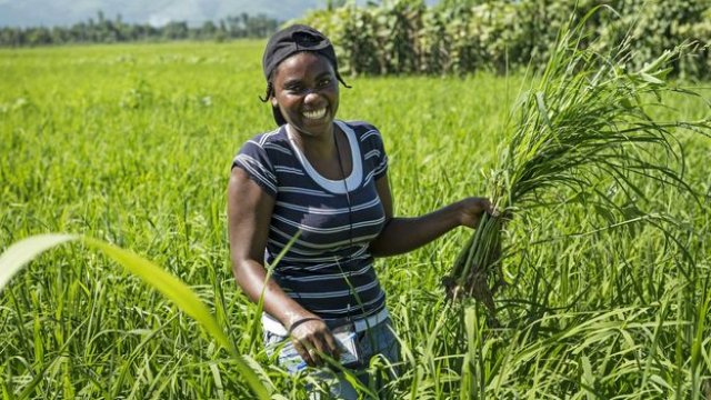 
           “Agrofoot”: Le footballeur Kodjovi Obilalé veut utiliser le football pour promouvoir l'agriculture durable au Togo