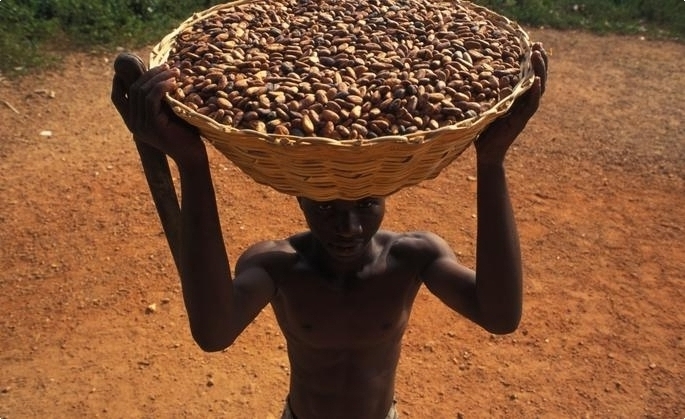 
          La Chronique Matières premières agricoles: Le cacao au 3 octobre 2019