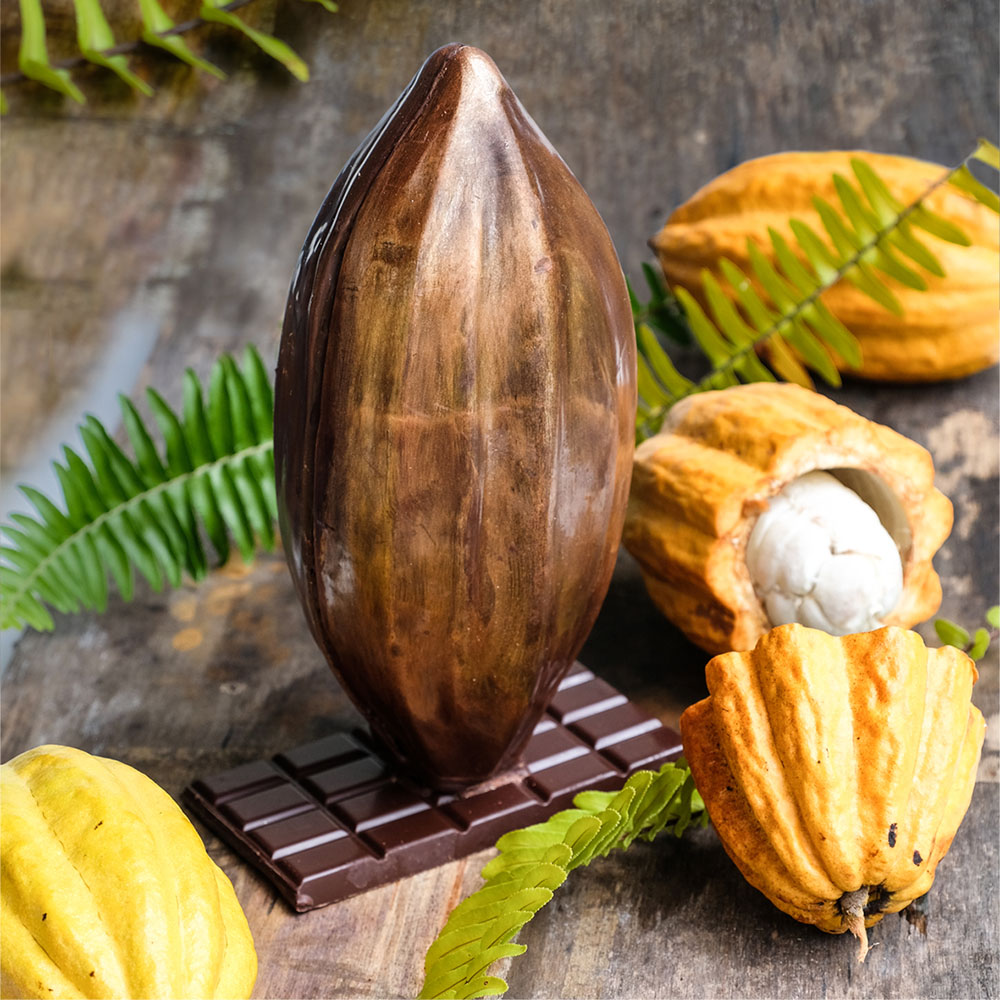 
          La Chronique Matières premières agricoles: Le cacao au 3 octobre 2019