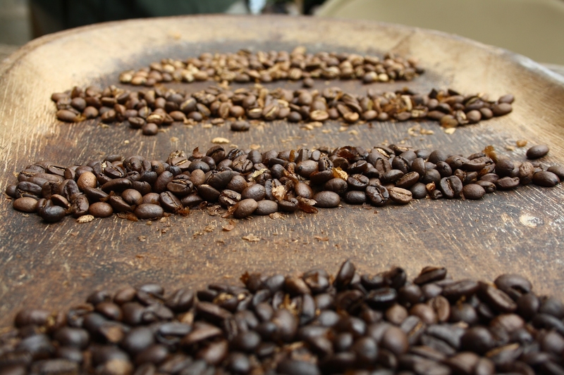 
          Production mondiale de café en 2018/2019: Une hausse de 3,7% par rapport à la campagne précédente