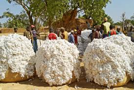 
          Saviez-vous que la culture et la production du coton ont une grande incidence sur l’écologie et que l’heure est venu de produire le coton durable?