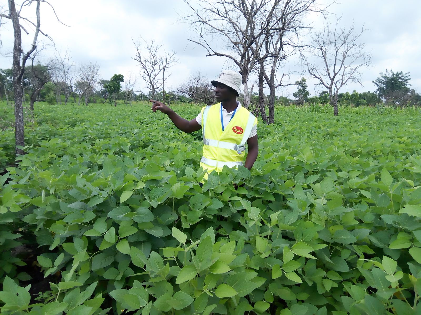 
          Le secteur agricole, dans le Projet de loi de finances 2020 au Bénin