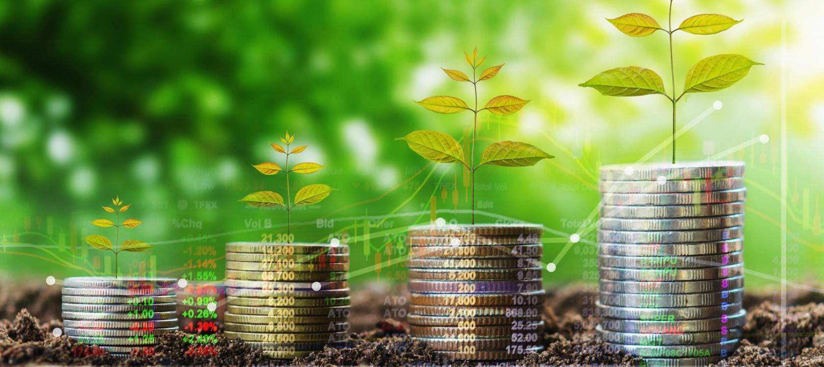 
          Financement agricole au Nigeria: Au deuxième trimestre de 2019 seulement que 4% des prêts bancaire sont allés à l’agriculture 