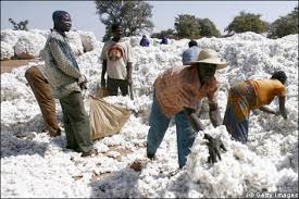 
          La Chronique Matières premières agricoles: Le coton  au 10 octobre 2019