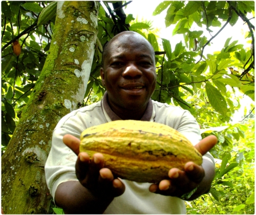 
          Cacao: Le Ghana et la Côte d’Ivoire veulent réexaminer les schémas de durabilité des entreprises