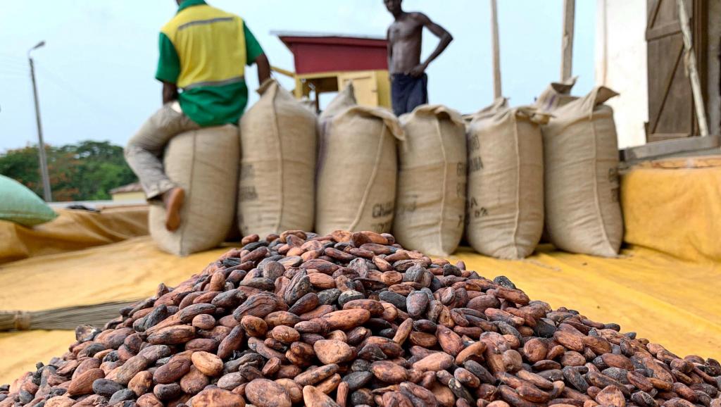 
          L’augmentation du stockage du cacao: Crainte de baisse de la qualité des fèves selon des exportateurs