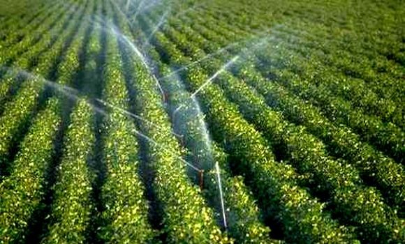 
          Financement de l’innovation agricole: Un accord signé entre l’OCP et l’ITFC de la BID pour l'innovation de l’agriculture en Afrique