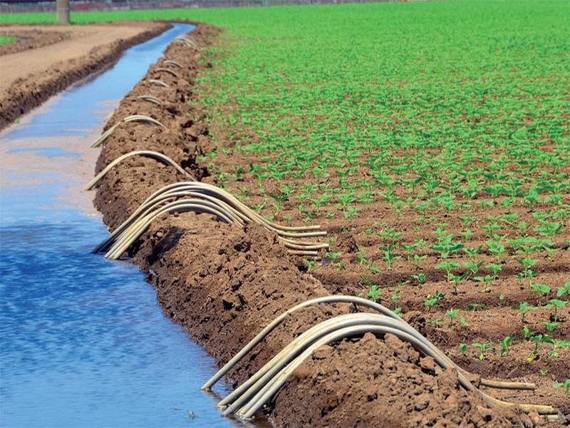 
          Investissement agricole: Elite Agro souhaite investir dans la production agricole en Sierra Leone