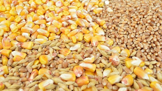 
          Baisse des prix des produits agricoles: Situation mondiale du maïs et du blé 