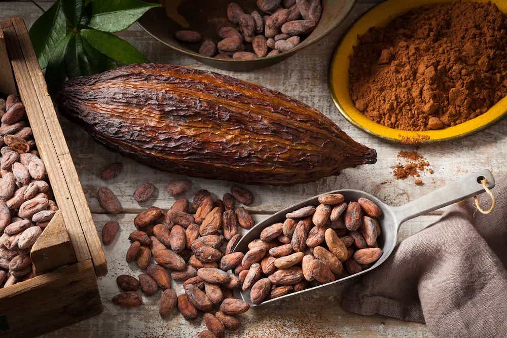 
          Baisse des prix des produits agricoles: situation mondiale du cacao