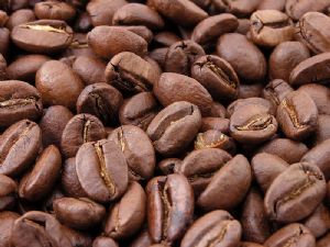 
          Baisse des prix des produits agricoles: situation mondiale du café