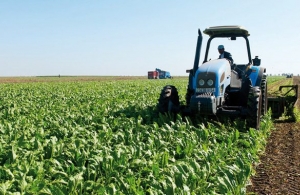 
          Programme agricole: La deuxième phase du PADAER  lancé au Sénégal