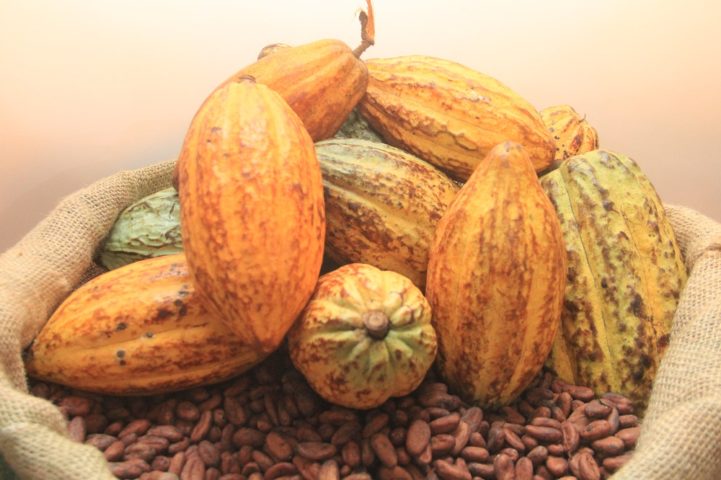 
          Les arrivages de cacao aux ports d'Abidjan et de San Pedro ralentissent chez le n°1 mondial