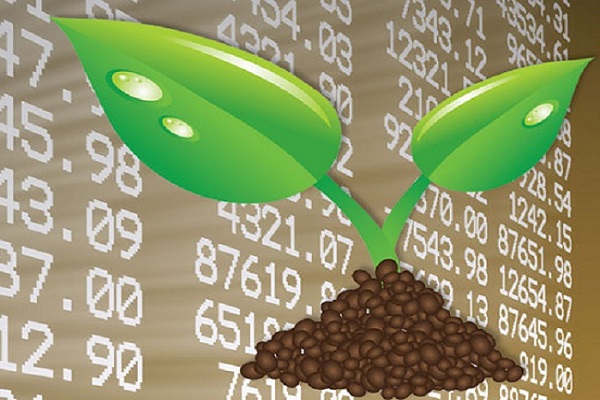 
          Bourse agricole au Nigéria: Le Lagos Commodities and Futures Exchange (LCFE); une bourse qui cotera 40 produits agricoles