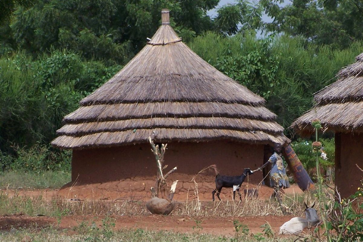 
          Le stockage des produits vivriers et semenciers, usant des méthodes et dispositifs traditionnels:  Les structures fermées; tel que les habitations 