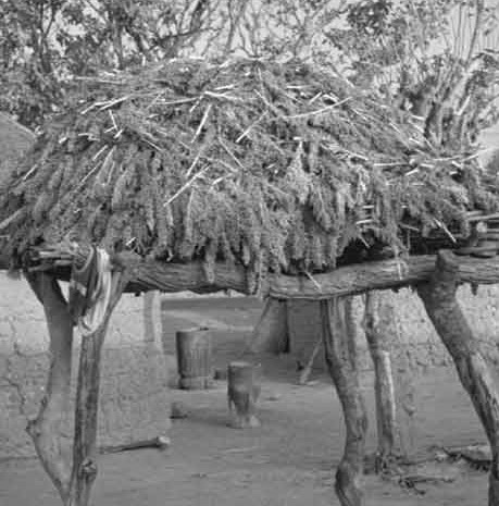 
            Le stockage des produits vivriers et semenciers usant des méthodes et dispositifs traditionnels:  Les structures fermées; tel que les greniers aérés