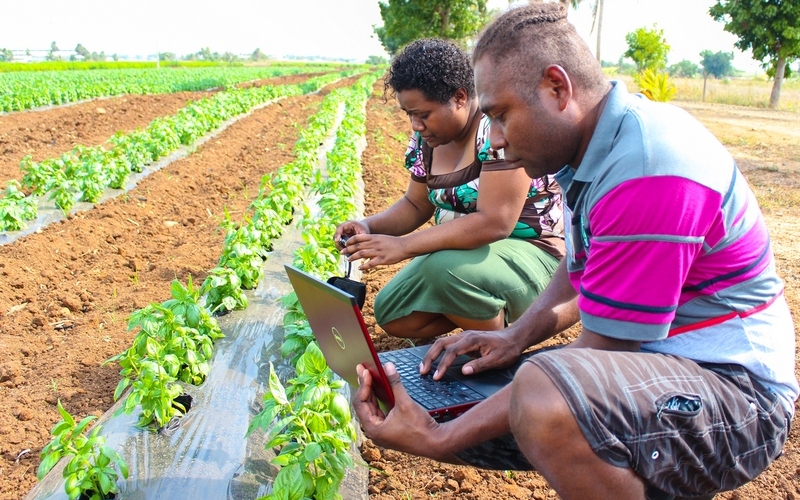 
          Technologies et innovations dans l’agriculture en Afrique: Quelles contraintes pourrait rencontrer les agriculteurs ? 