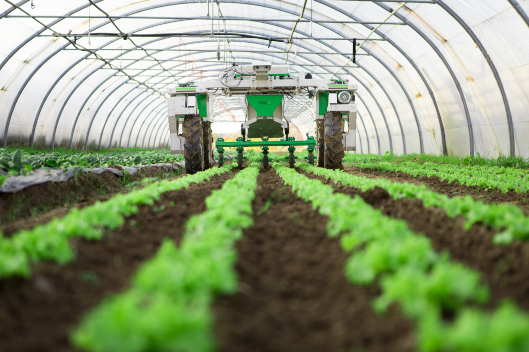 
          Quel est l'impact de l’innovation technologique sur l’agriculture biologique ?