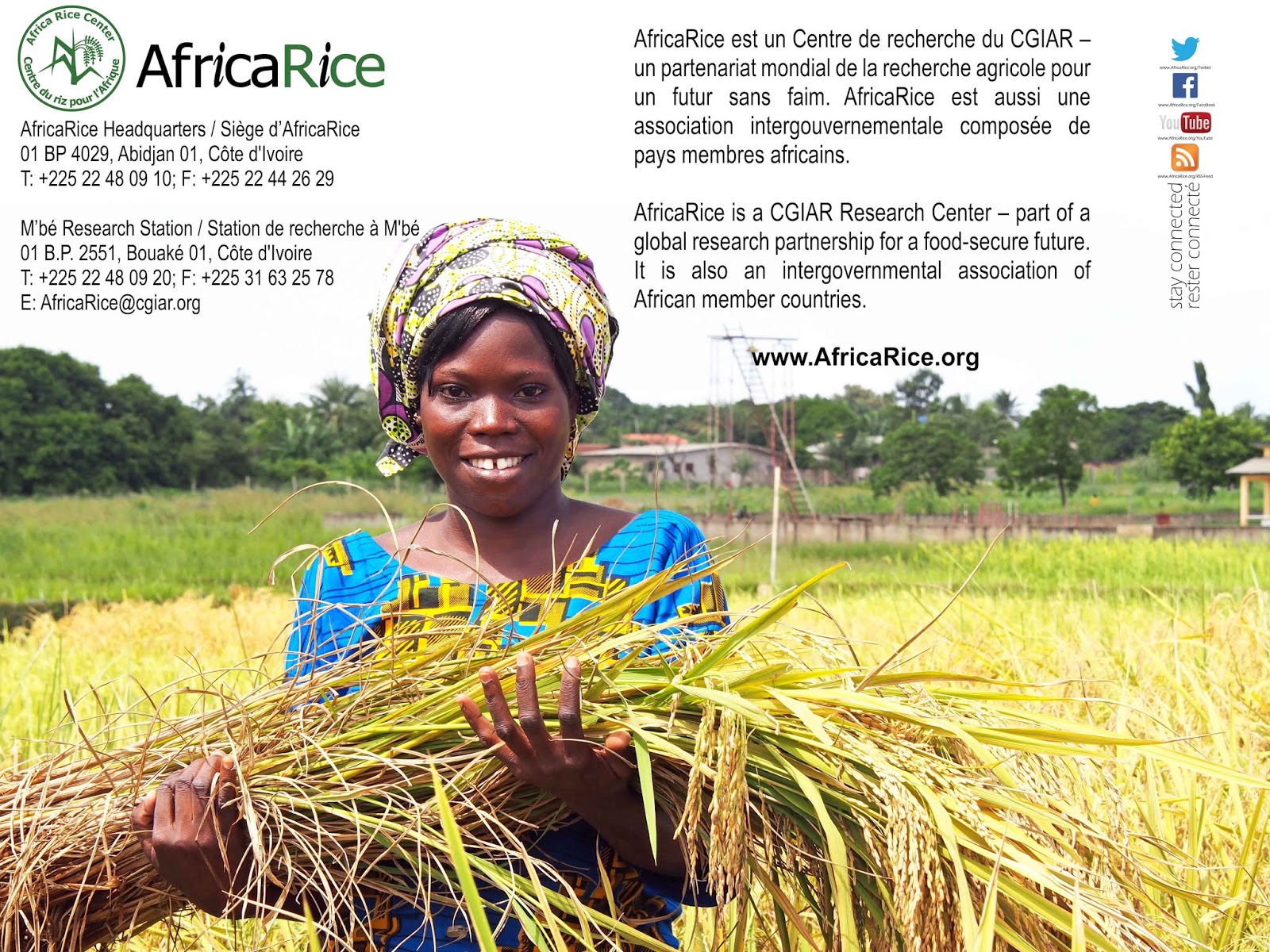 
          Promotion de la production du riz: Un prix décerné à Centre du riz pour l’Afrique (AfricaRice) 