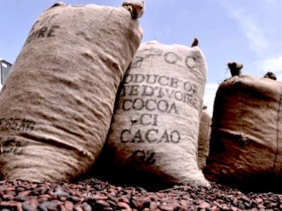
          Filière cacao: Quelle tendance pour la vente du cacao en Afrique? 