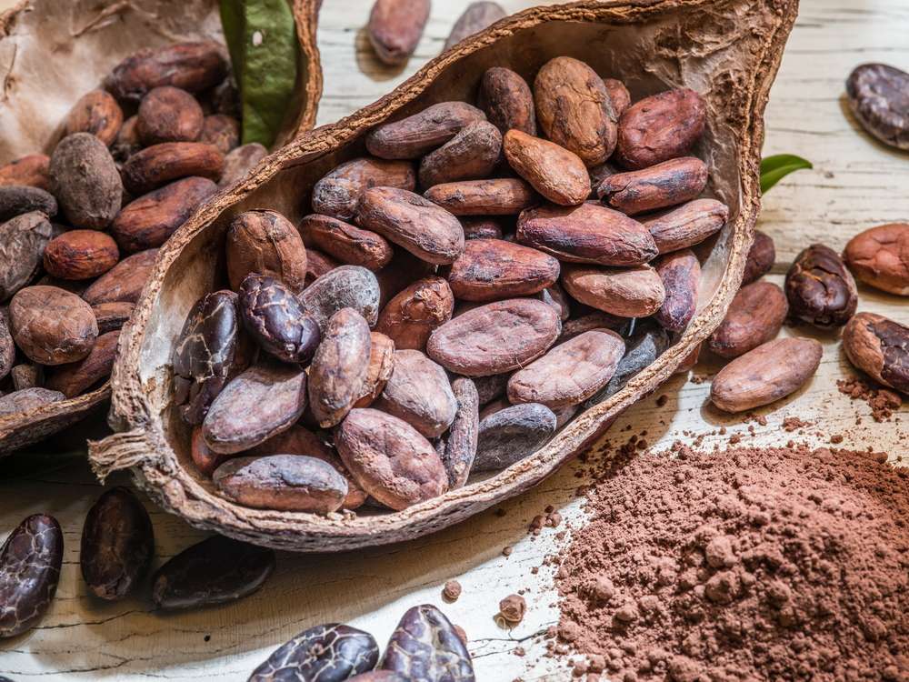 
          Cacao durable: Barry Callebaut obtient 50% de ses ingrédients via des sources durables
