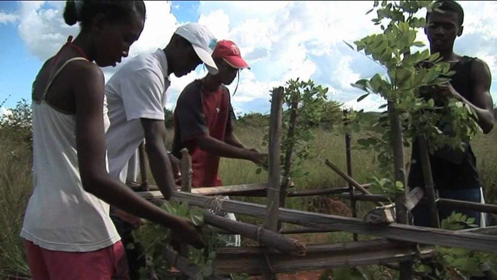 
          Entrepreneuriat agricole au Nigeria: Participer à la sécurité alimentaire avec les initiatives agro-entrepreneuriale  