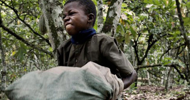 
          Cacao durable:  Nestlé  lutte contre le travail des enfants dans sa chaîne d’approvisionnement en Afrique de l’Ouest